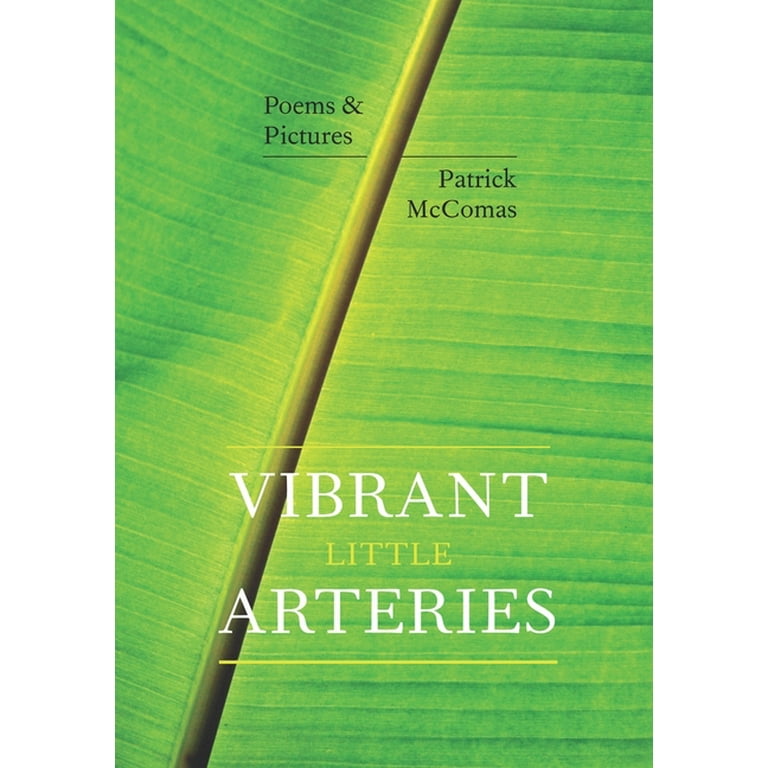Vibrant Little Arteries: Poems & Pictures (Paperback)