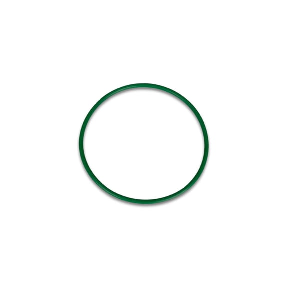 Vibrant Power 12578G O-Rings Replacement O-Ring for Vibrant HD Clamp Weld Ferrules for 4.00 in. O.D. Tubing PTFE Green each