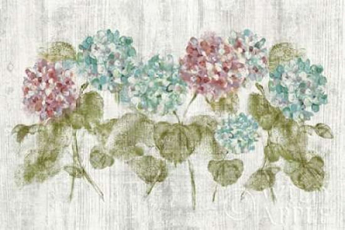 Vibrant Row of Hydrangea on Wood Canvas Art - Cheri Blum (12 x 18)