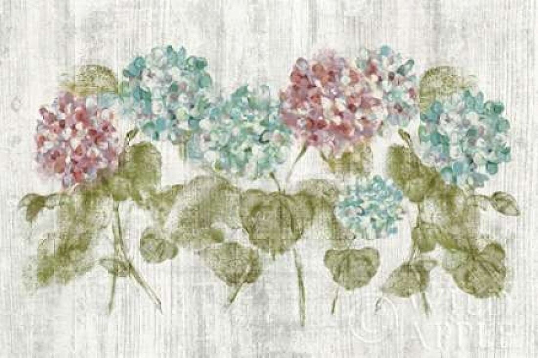 Vibrant Row of Hydrangea on Wood Canvas Art - Cheri Blum (24 x 36)
