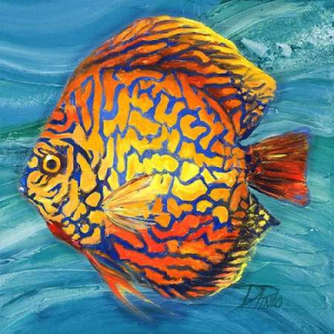 Vibrant Sea Life IV Canvas Art - Patricia Pinto (24 x 24)