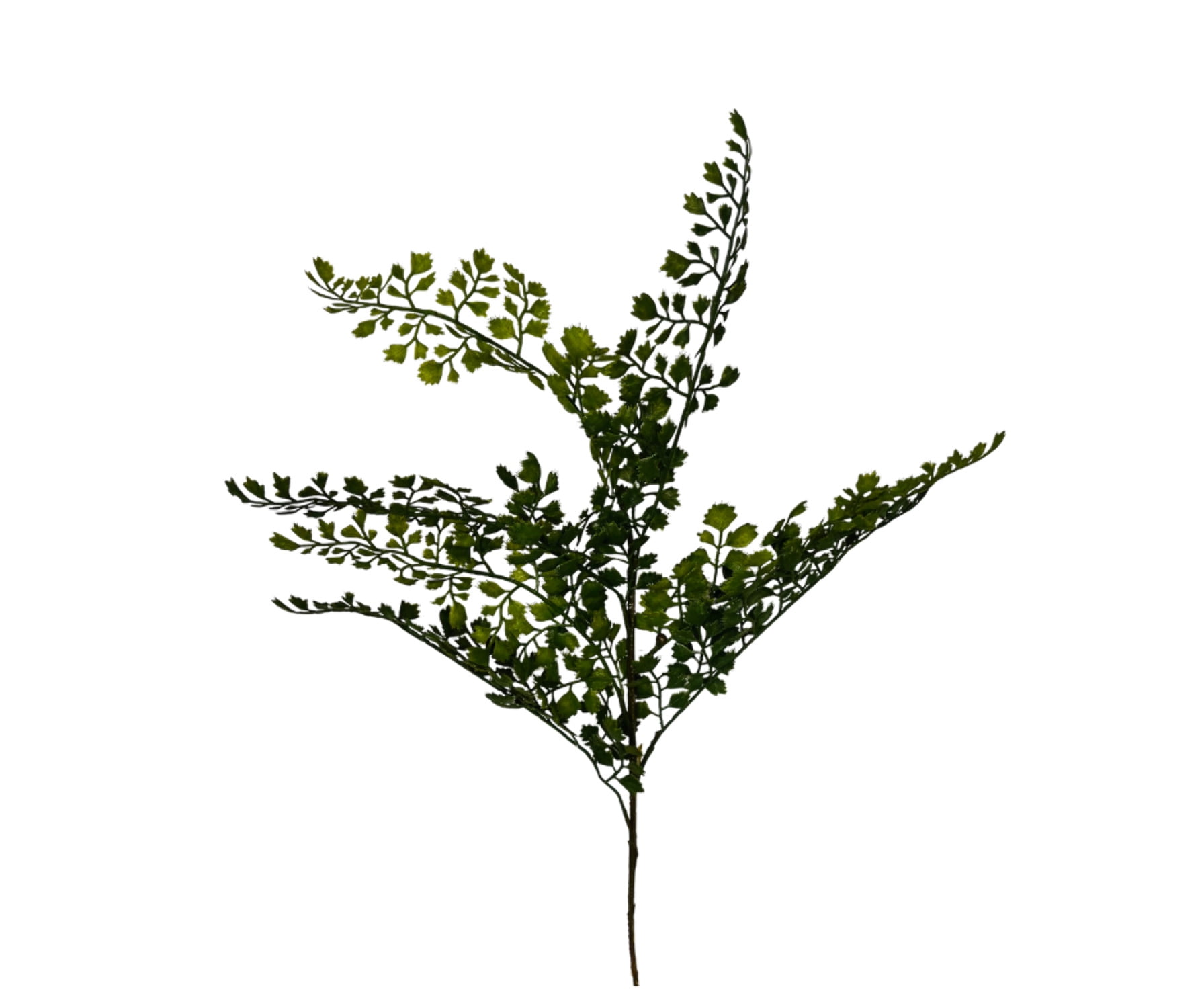 Vibrant and Versatile: 22-Inch Artificial Maidenhair Fern Spray-FG5654 ...