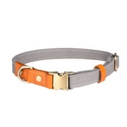 Vibrant in several colour options - premium nylon dog collar with metal clasp