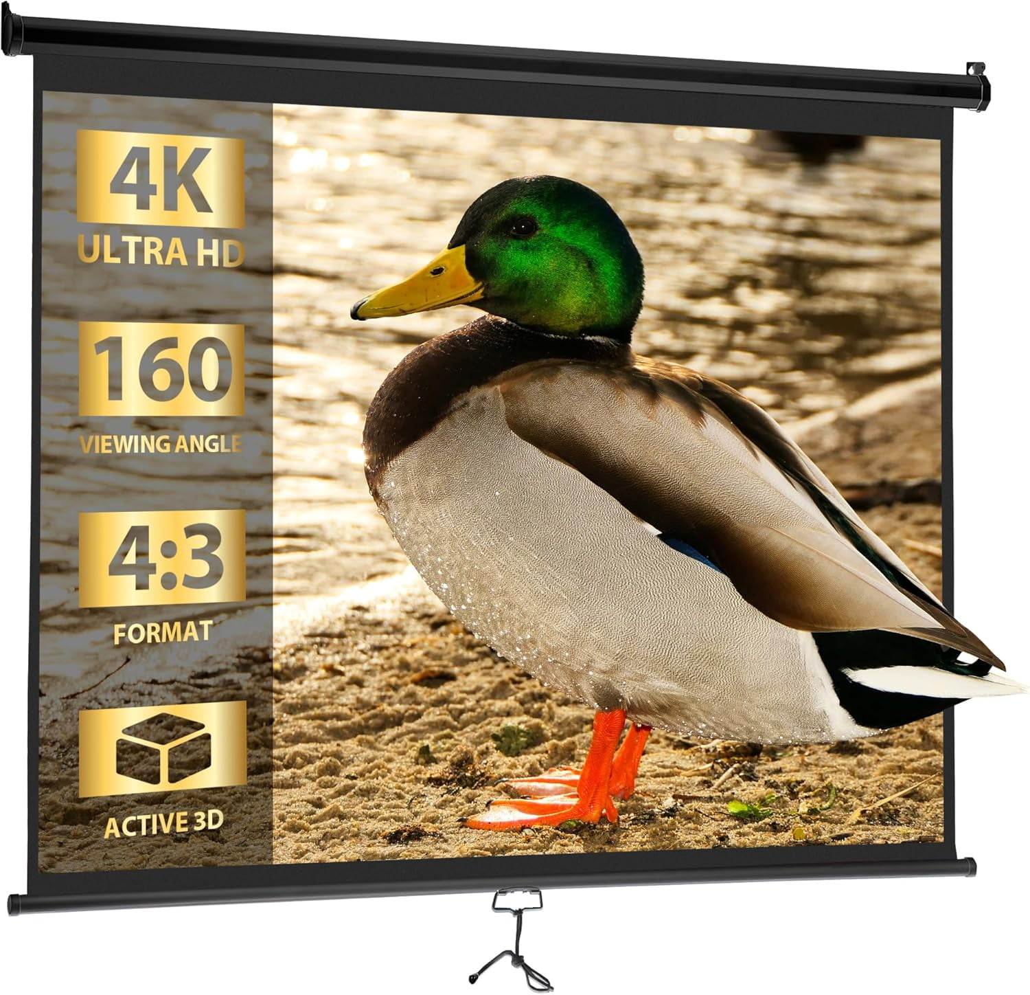 Écran Projection HD 72" 16:9 Portable 4K Facile Nettoyage