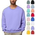 thumbnail image 1 of Vibrex Men's Casual Solid Color Pullover Sweatshirt, Basic Soft Fleece Crew Neck Long Sleeve Top for Athletic Daily Wear, 1 of 7