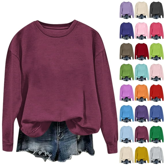 Vibrex Women's Crewneck Sweatshirt, Loose Fit Long Sleeve Basic Top for Casual Loungewear, Soft Solid Color Pullover
