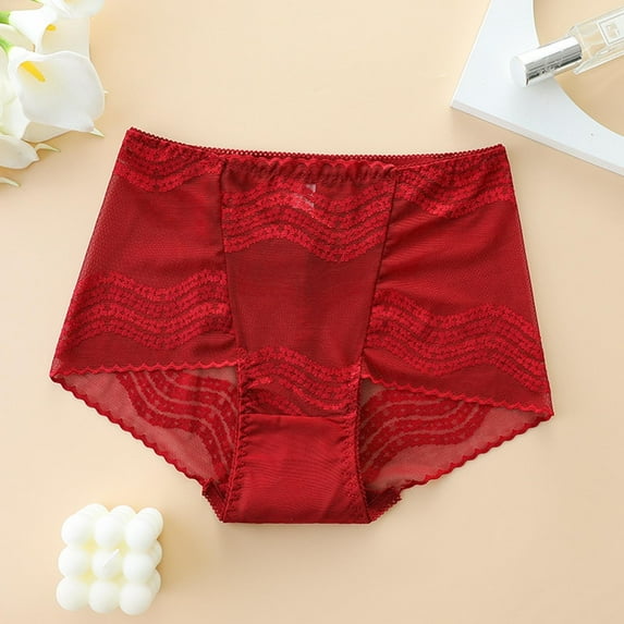 Vibrex Womens Underwear Underwear French Thin Perspective Mesh Lace Underwear Cropping Hip Lifting Low Waist Underwear,Stretch Briefs,L-2XL