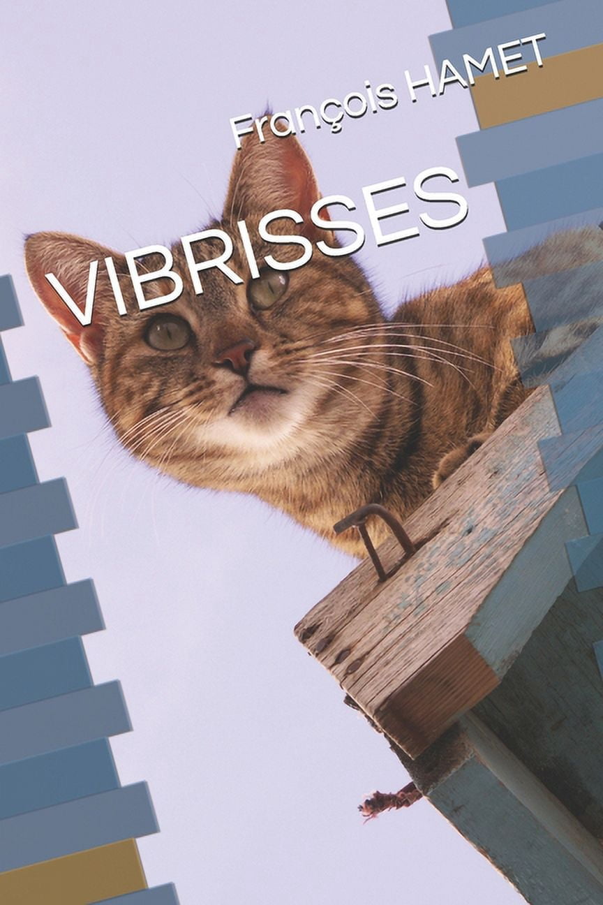 Vibrisses, (Paperback)