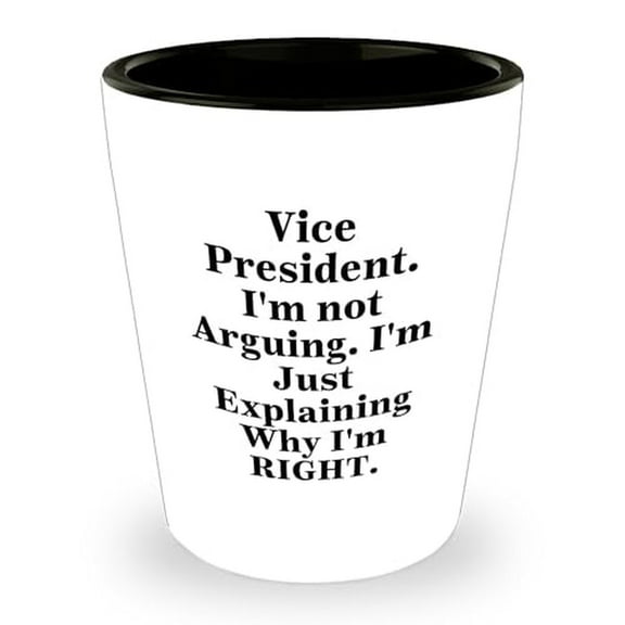 Vice President Explaining Shot Glass Funny Birthday Unique Gifts from Friends