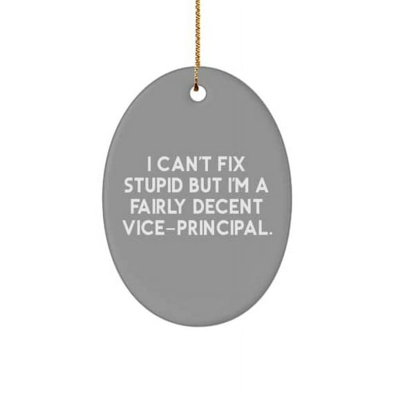 Vice-Principal Gifts for Coworkers, I Can't Fix Stupid but I'm a Fairly Decent Vice., Brilliant Vice-Principal Oval Ornament, from Boss