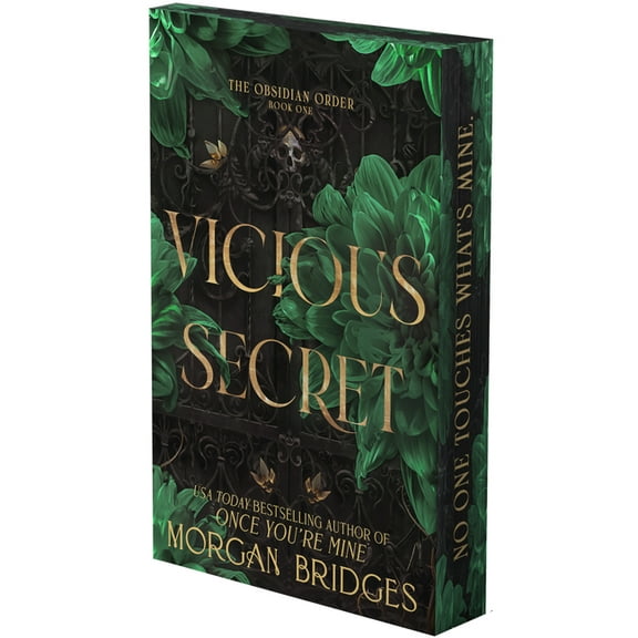 Obsidian Order Vicious Secret: A Dark Romance, Book 1 (Paperback)