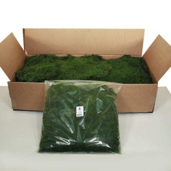 Vickerman 1.1 Lbs Bag of Green Sheet Moss, Preserved
