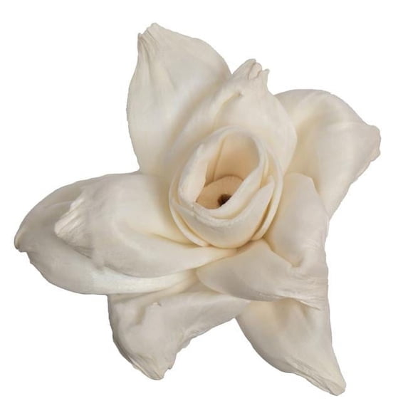 Vickerman 1.6"/2.4"/3.2" 1-3" Assorted Jonquil Sola Head 24 Flowers per Polybag