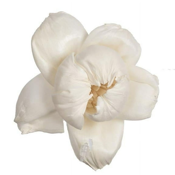 Vickerman 1.6" - 3.2" Assorted Natural Dried Rosette Sola Flower Head 24 per Bag