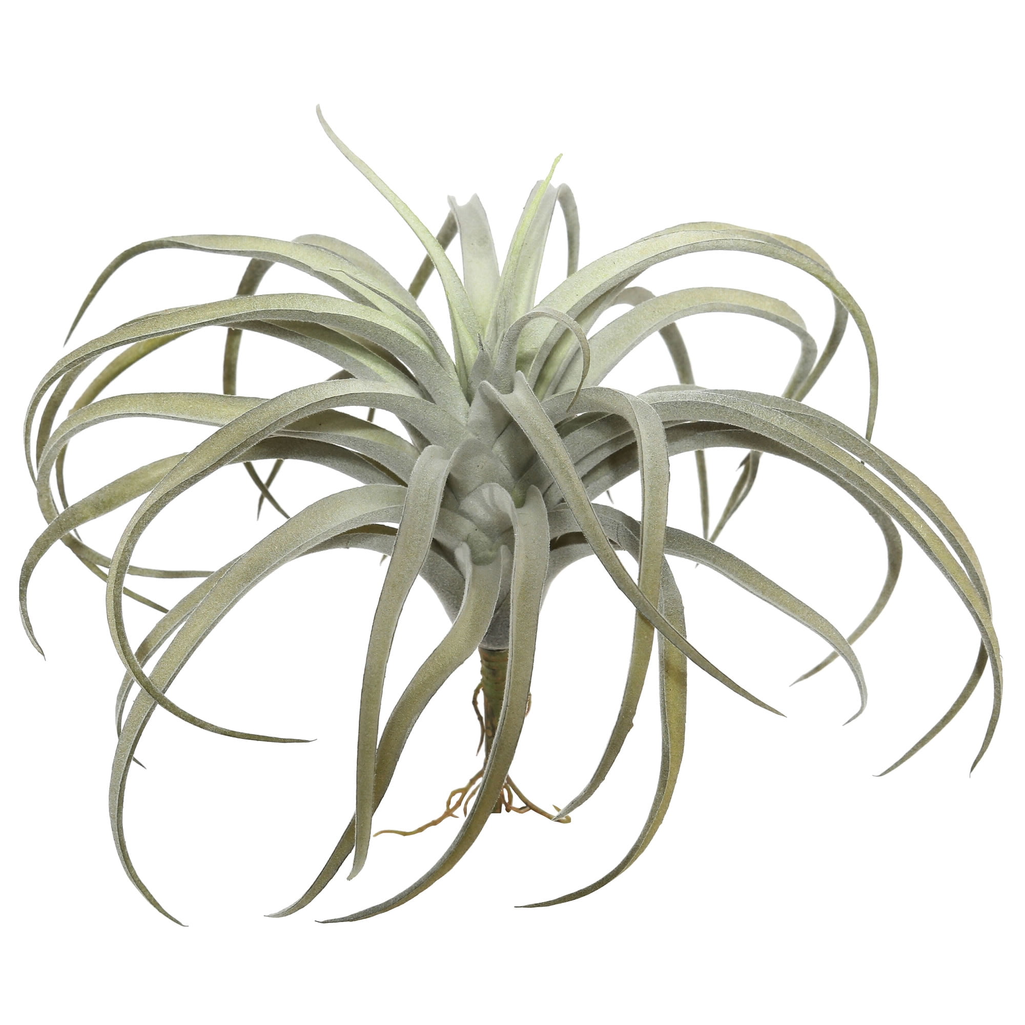 10.5" Gray Artificial Succulent Arrangement in Plastic Pot
