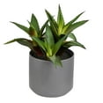 thumbnail image 1 of Vickerman 10" Artificial Green Aloe Plant., 1 of 3