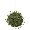 thumbnail image 1 of Vickerman 10" Artificial Green Angel Vine kissing ball., 1 of 2