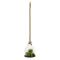 thumbnail image 1 of Vickerman 10" Artificial Green Assorted Succulents in Glass Jar., 1 of 6