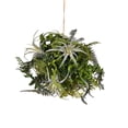 thumbnail image 1 of Vickerman 10" Artificial Green Fern Ball., 1 of 2