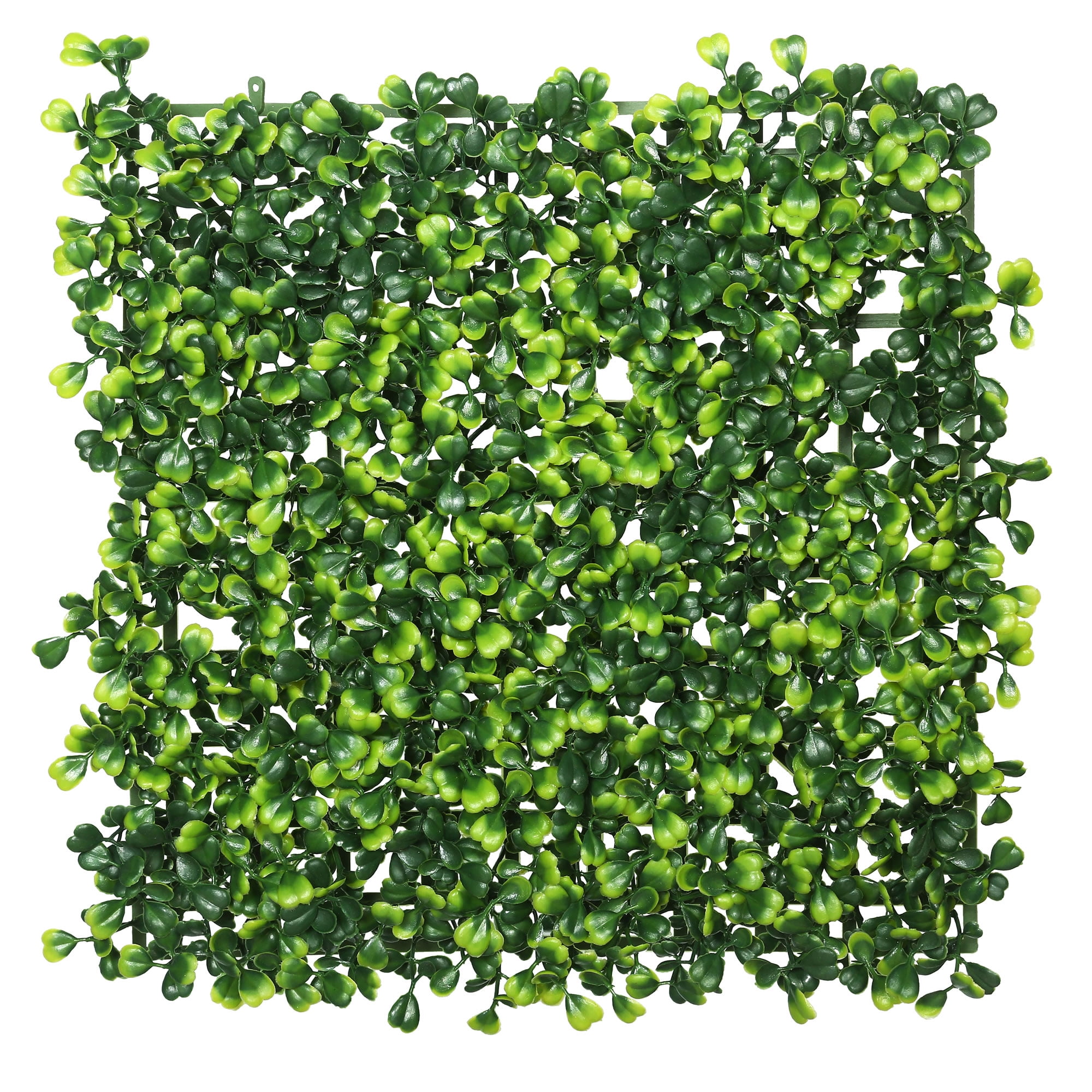 Square Boxwoods Vickerman 10