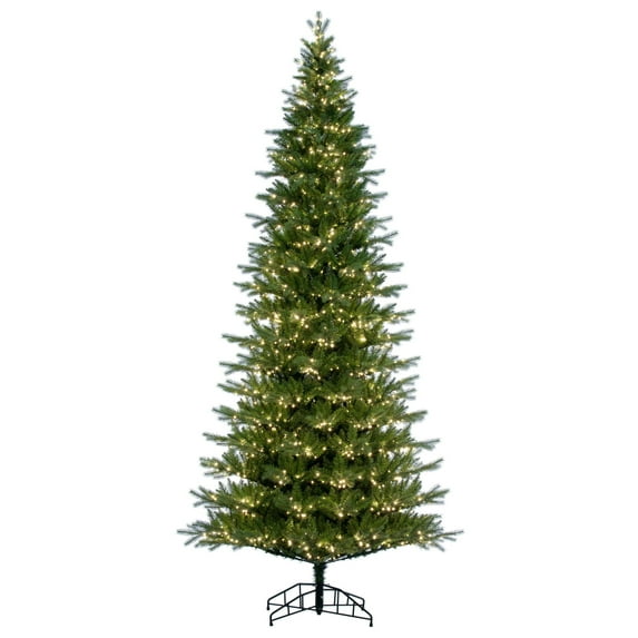 Vickerman 10' x 56" Balsam Spruce Slim Tree, 2100 Warm White Low Voltage 3MM LED Lights.