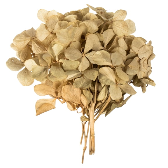 Vickerman 10 x 3 x 21" tray Natural Hydrangea Pieces. Tray multi stem, Preserved