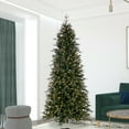 thumbnail image 1 of Vickerman 10' x 54" Douglas Fir Artificial Slim Christmas Tree with Warm White LED Lights., 1 of 6