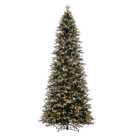 Vickerman 10' x 54" Frosted Douglas Fir Artificial Pre-Lit Christmas Tree, Warm White LED Mini Lights.