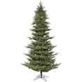 thumbnail image 1 of Vickerman 10' x 66" Carlsbad Fir Tree 2860T - K172485, 1 of 2