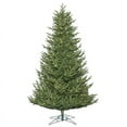 thumbnail image 1 of Vickerman 10' x 72" Deluxe Frasier Dura-Lit 1150CL Christmas Tree, 1 of 2