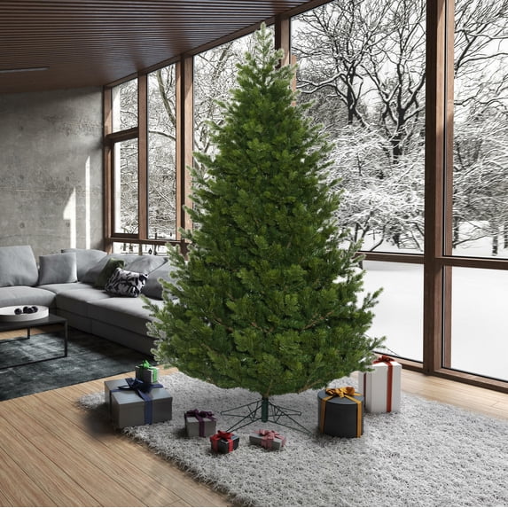 Vickerman 10' x 73" Eagle Fraser Full Artificial Christmas Tree, Unlit