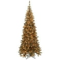 thumbnail image 1 of Vickerman 10'x50" Ant Champagne DuraLit 900CL - K156286, 1 of 2