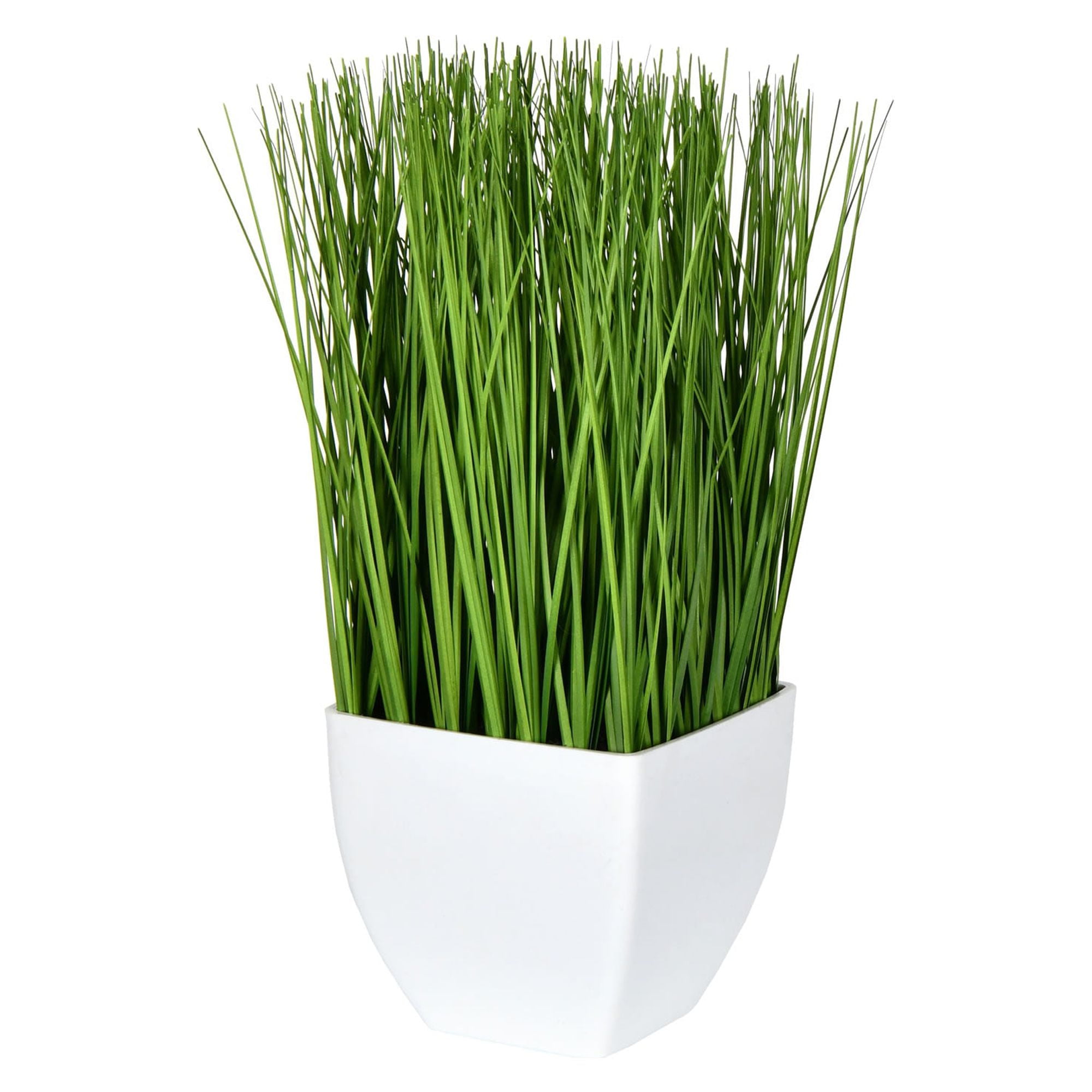 Vickerman 11.5" Green Plastic Potted Grass in White Pot