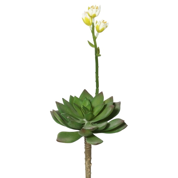 Vickerman 11" Artificial Echeveria Pick.