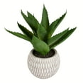 thumbnail image 1 of Vickerman 11" Artificial Green Succulent in Container., 1 of 2