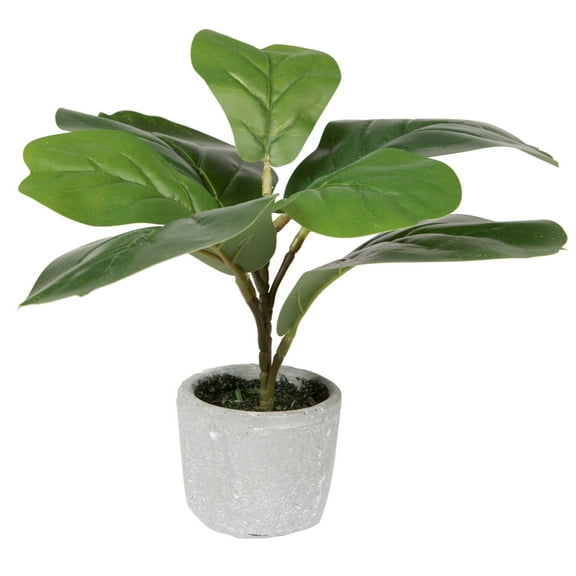 Vickerman 11" Green Artificial Fiddle Leaf Fig Plant in Pot.