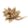thumbnail image 1 of Vickerman 12-16" Bleached Star Pod, Extra Large, 1 of 4