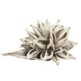 thumbnail image 1 of Vickerman 12-16" White Wash Star Pod, Extra Large, 1 of 4