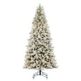 thumbnail image 1 of Vickerman 12' x 64" Flocked Jackson Pine Artificial Pre-Lit Christmas Tree, Warm White Lights, 1 of 5