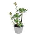 thumbnail image 1 of Vickerman 13.5" Artificial Green Succulent, Paper Pot., 1 of 2