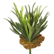 Vickerman 13" Artificial Staghorn Fern Bush.