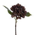 thumbnail image 1 of Vickerman 13" Brown Artificial Dried Hydrangea Pick, 3 per bag., 1 of 1