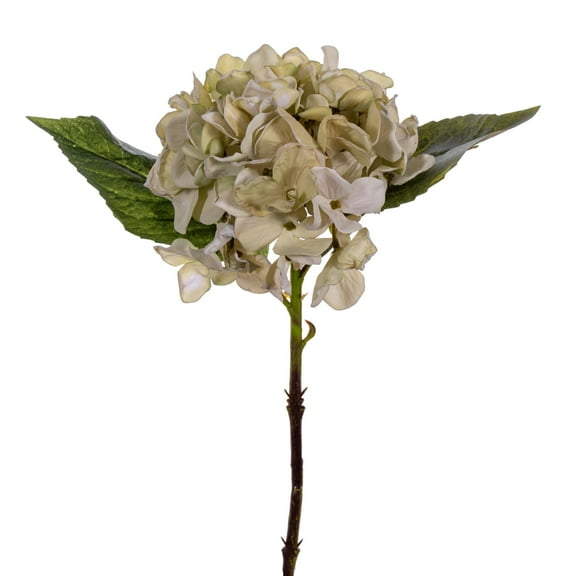 Vickerman 13" White Artificial Dried Hydrangea Pick, 3 per bag.