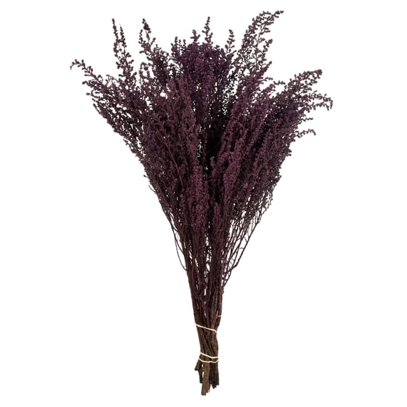 Vickerman 14-18" Violet Stoebe Bundle