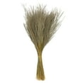 thumbnail image 1 of Vickerman 14-20" Natural Snowdrop Grass, 3 pack, Dried, 1 of 5