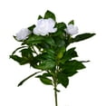 thumbnail image 1 of Vickerman 14.5" Artificial White Polyester Gardenia Flower Bush X 3, 1 of 2