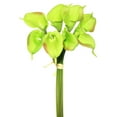 thumbnail image 1 of Vickerman 14'' Artificial Green Calla Lily. Eight stems per pack., 1 of 2