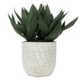 thumbnail image 1 of Vickerman 14" Artificial Green Succulent in Concrete Gray Pot., 1 of 5