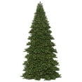 thumbnail image 1 of Vickerman 14' x 84" Oregon Fir Artificial Christmas Frame Tree, Warm White Dura-lit LED Lights, 1 of 3
