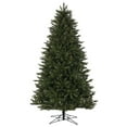 thumbnail image 1 of Vickerman G185295 14 ft. x 86 in. Unlit Boston Frasier Fir Artificial Christmas Tree with 10613 Tip Count, 1 of 1